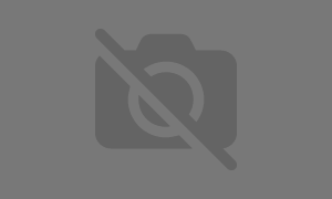 Field Marketing And Field Sales agency in Mumbai